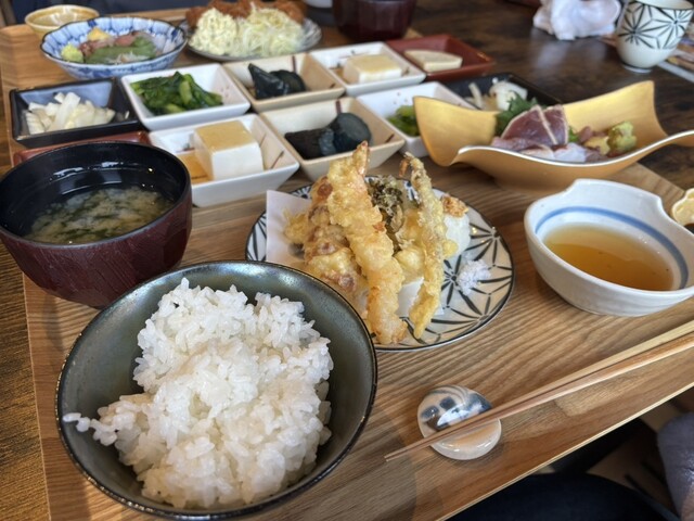 Shunsai Tanaka de Tanaka (Kari) photo 5