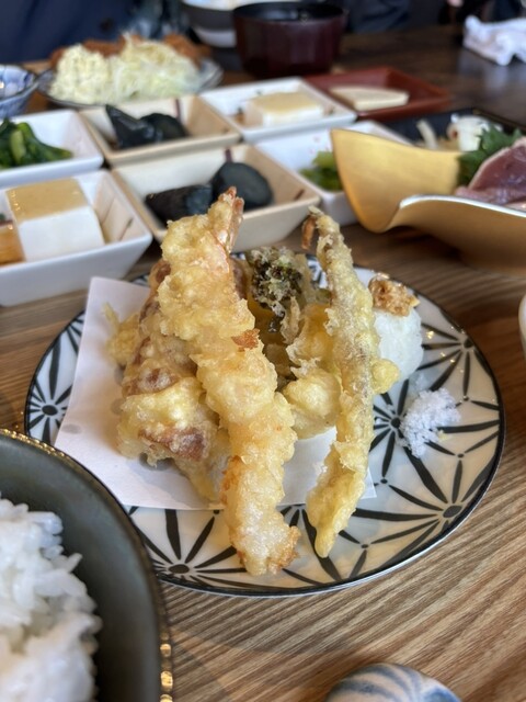 Shunsai Tanaka de Tanaka (Kari) photo 2