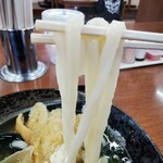 Jinriki Udon Sadai Minami Ten