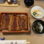 梅本 - うな重（花）