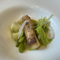 アマルフィイ・モデルナ - 