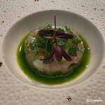 カーサ・デル・チーボ - 松川鰈と槍烏賊のタルタル 菊菜のオイルとレモン胡椒