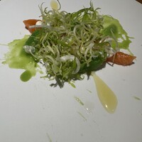 malca - 