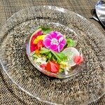 創作四川料理 廣明 - 楊貴妃ランチの彩りサラダ