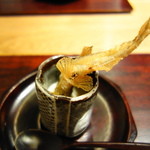 虎白 - 揚げ鮎　トリュフ入りホワイトソース