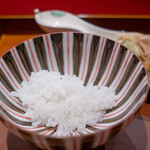 礼讃 - 白米（徳島あきさかり）