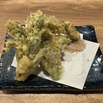 野良之木天蓼 - 