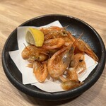 野良之木天蓼 - 