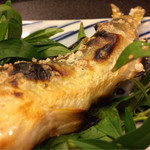 と村 - 白神山地の鮎