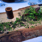 森のエッセンス 山里の風景1