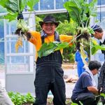 わらしべ - 料理長（自社さくら農園にて）