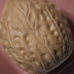 北館菓子舗 - 料理写真:くるみもなか