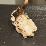 あま木 - とり貝