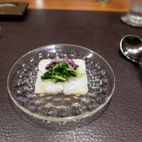 イル アオヤマ - 種子島のアオリイカ