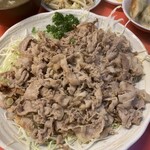 百亀楼 - 料理写真:朝鮮焼ライス　1,050円