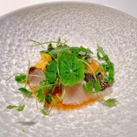 イタリアン オット - 