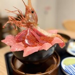 札幌海鮮丼専門店 すしどんぶり - 