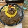 ホールスパイスカレー青藍