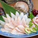 北のグルメ亭 - 2025.4 八角刺し 1尾（2,480円）