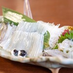 北のグルメ亭 - 2025.4 活やりいかお造り（2,500円）