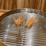 てんぷら 下村 - 