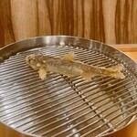 てんぷら 下村 - 