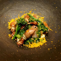 RESTAURANT SALT - 