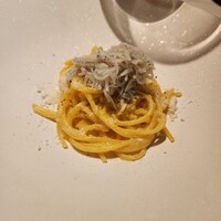 PRIMO - 
