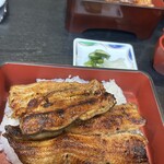 青葉 - 