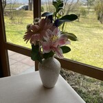 スタジオーネ - 