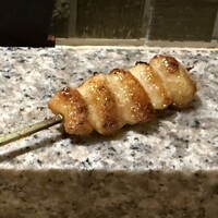 始祖鳥 - 