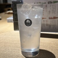 始祖鳥 - 