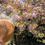 うさぎや 中央通り店 - 