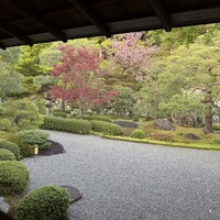 高台寺 十牛庵 - 