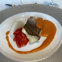 サンシャイン クルーズ・クルーズ - 