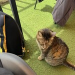 Prost Sausage & Kunsei Bar Okinawa Umikajiterasu Ten - 