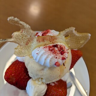 ハナカンラン_1