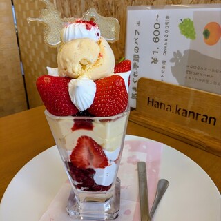 ハナカンラン_0