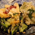 マチェレリーアディタケウチ - 