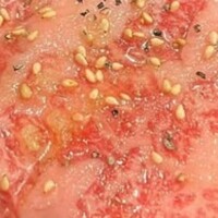 食べ飲み放題 焼肉ダイニングちからや 名駅店 - 