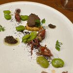 La couleur d'ete - ホタルイカ