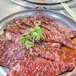 ハラミ家 こっくん - 