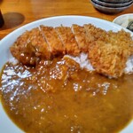 とんかつ 赤坂 水野 菊池店 - ロースカツカレーにヒレカツ（２個）を追加