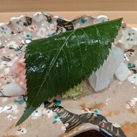櫻木 - 