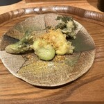 食堂 あきやま - そら豆とタラの芽の天ぷらカラスミ添え