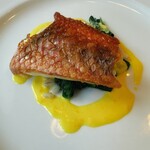 アメリ - 白身魚のポワレ