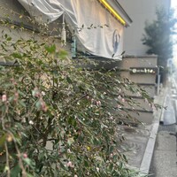 とり田 博多本店 - 