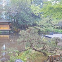 浮月楼 - 