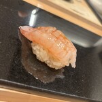 鮨と天草大王 天音 - 