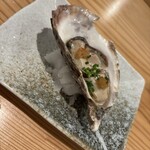 鮨と天草大王 天音 - 